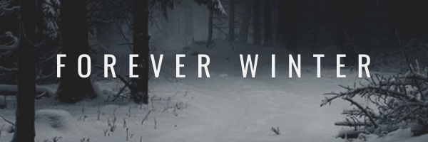 Forever winter banner