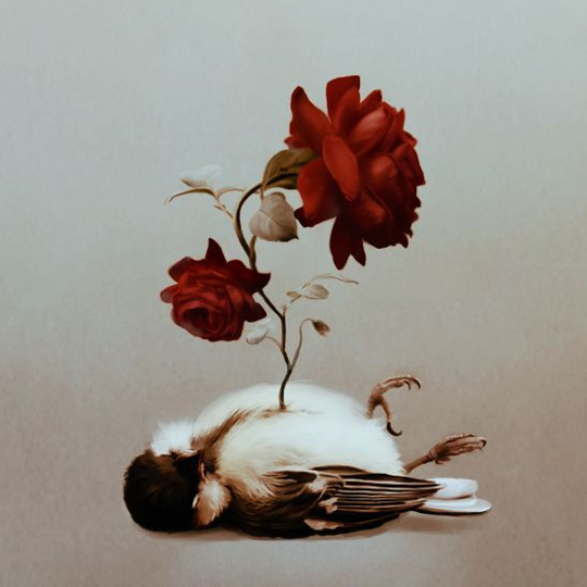 Bird with flower