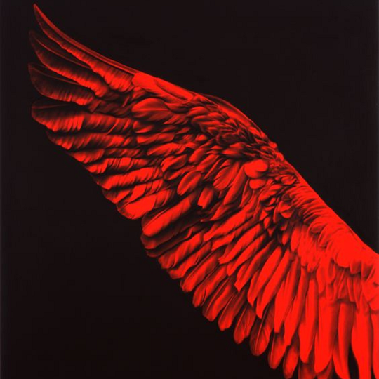 red angel wing